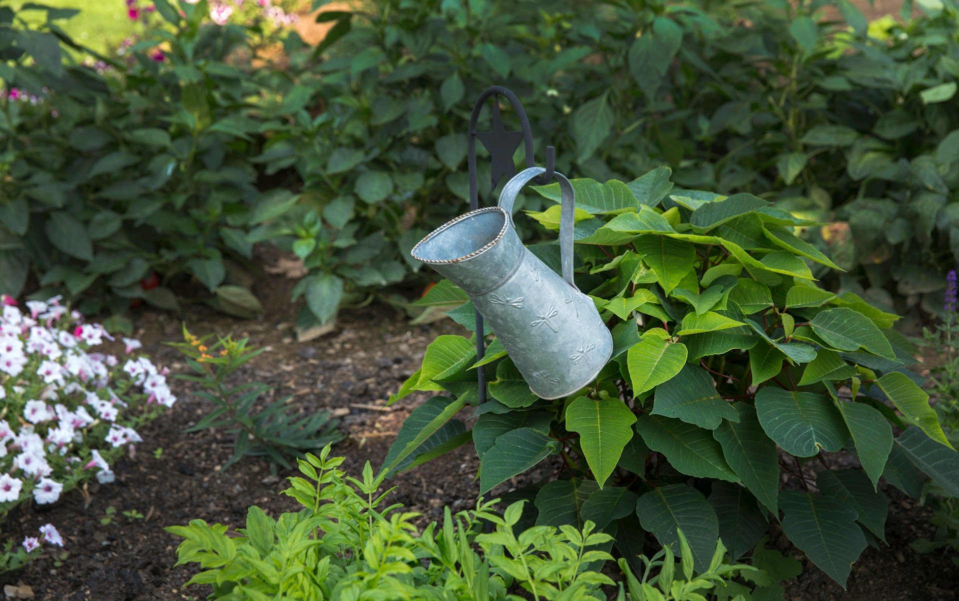 gardening